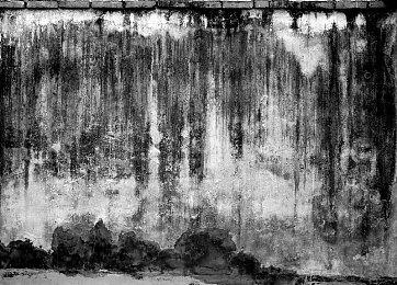 魔性手游《Flappy Bird》宣布年内重磅回归